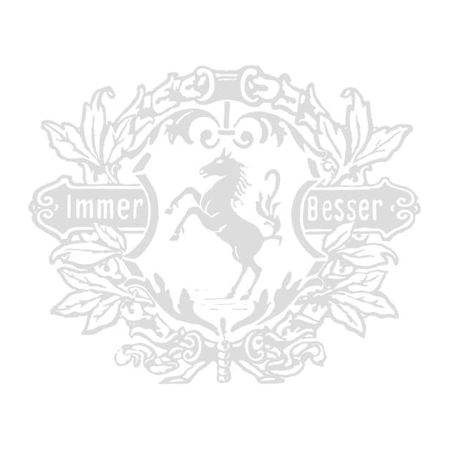Immer Besser Logo